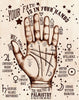🤲🏽 WHAT IS PALMISTRY? 🤲🏽