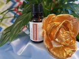 Simply Earth- Frankincense Essential Oil 15ml on American Gypsy Herbalist 